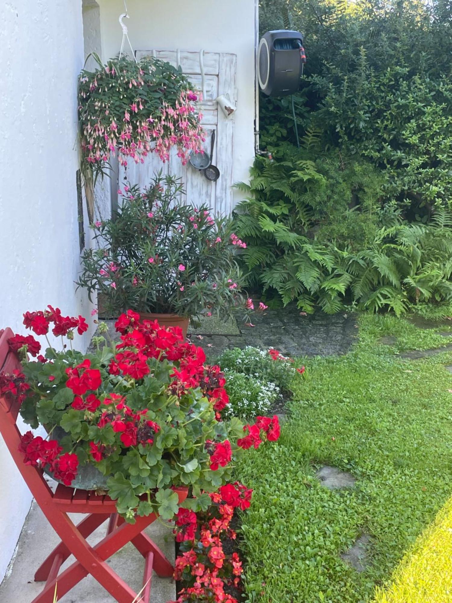Apartments Wrolich Latschach ober dem Faakersee Εξωτερικό φωτογραφία