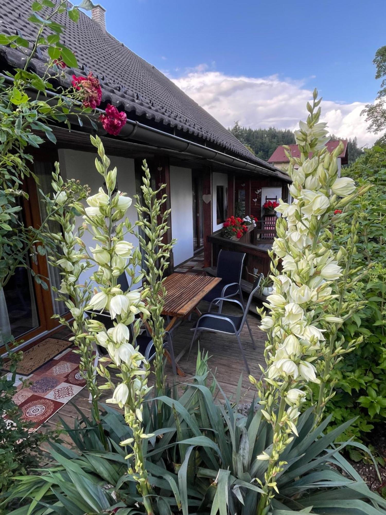 Apartments Wrolich Latschach ober dem Faakersee Εξωτερικό φωτογραφία